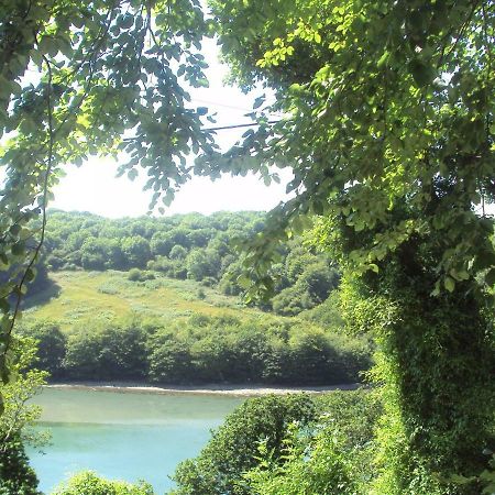 Woodlands Panzió Looe Kültér fotó